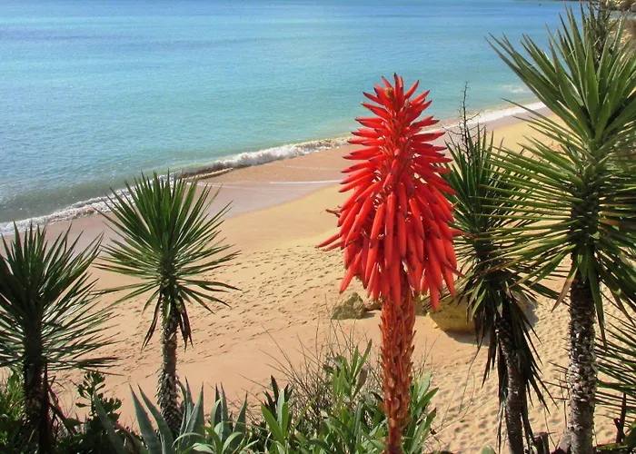 Hedwiges Casa de Férias